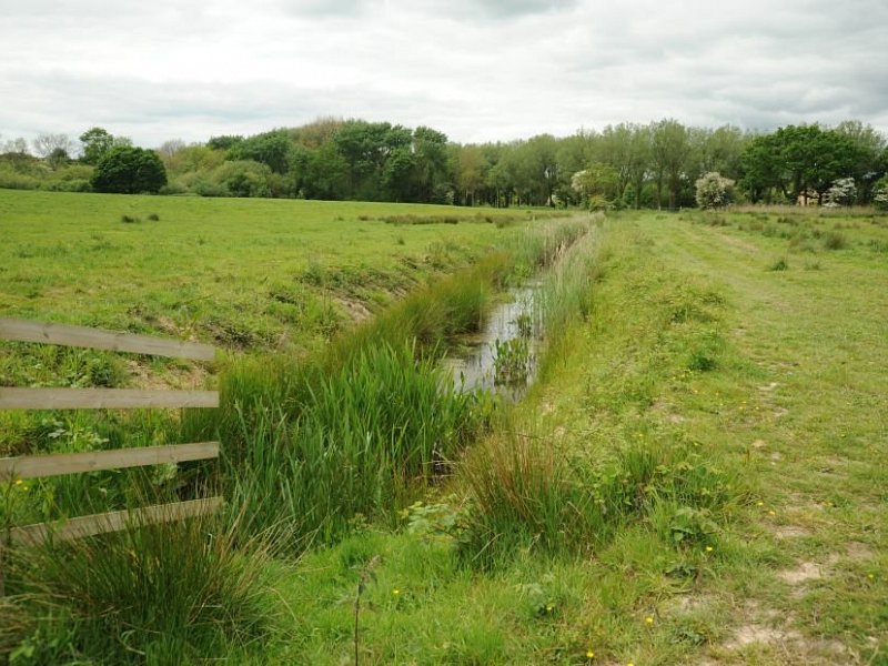 The future of the natural environment after the EU Referendum